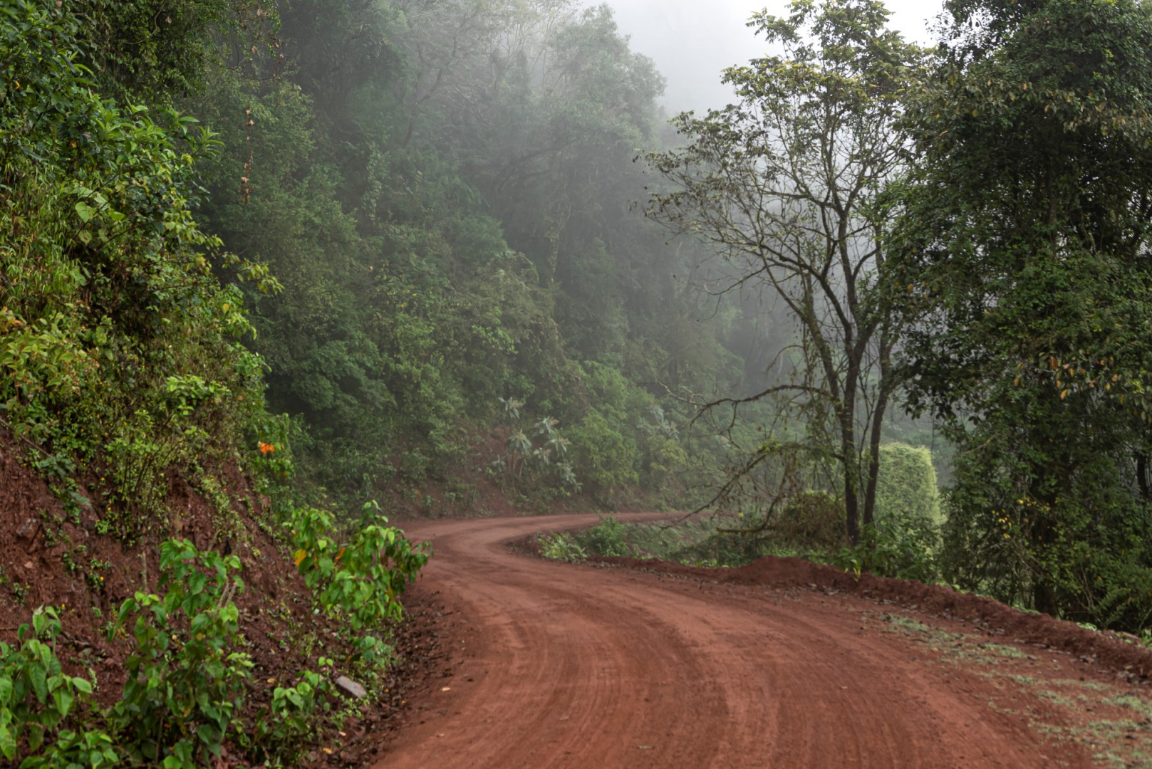 Parque Nacional Calilegua